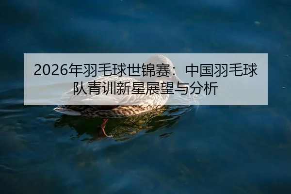 2026年羽毛球世锦赛：中国羽毛球队青训新星展望与分析