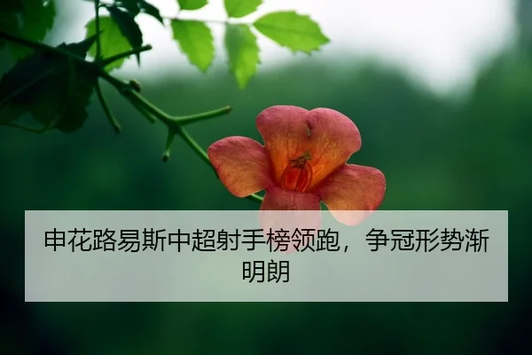 shen-hua-lu-yi-si-zhong-chao-she-shou-bang-ling-pao-zheng-guan-xing-shi-jian-ming-lang-2-331.jpg
