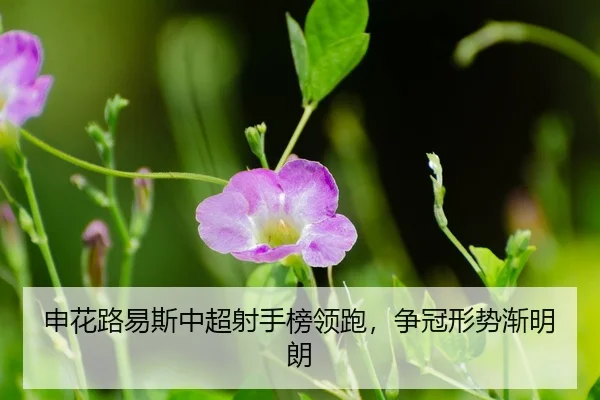 shen-hua-lu-yi-si-zhong-chao-she-shou-bang-ling-pao-zheng-guan-xing-shi-jian-ming-lang-3-693.jpg