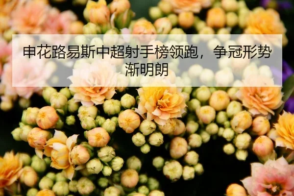 申花路易斯中超射手榜领跑，争冠形势渐明朗